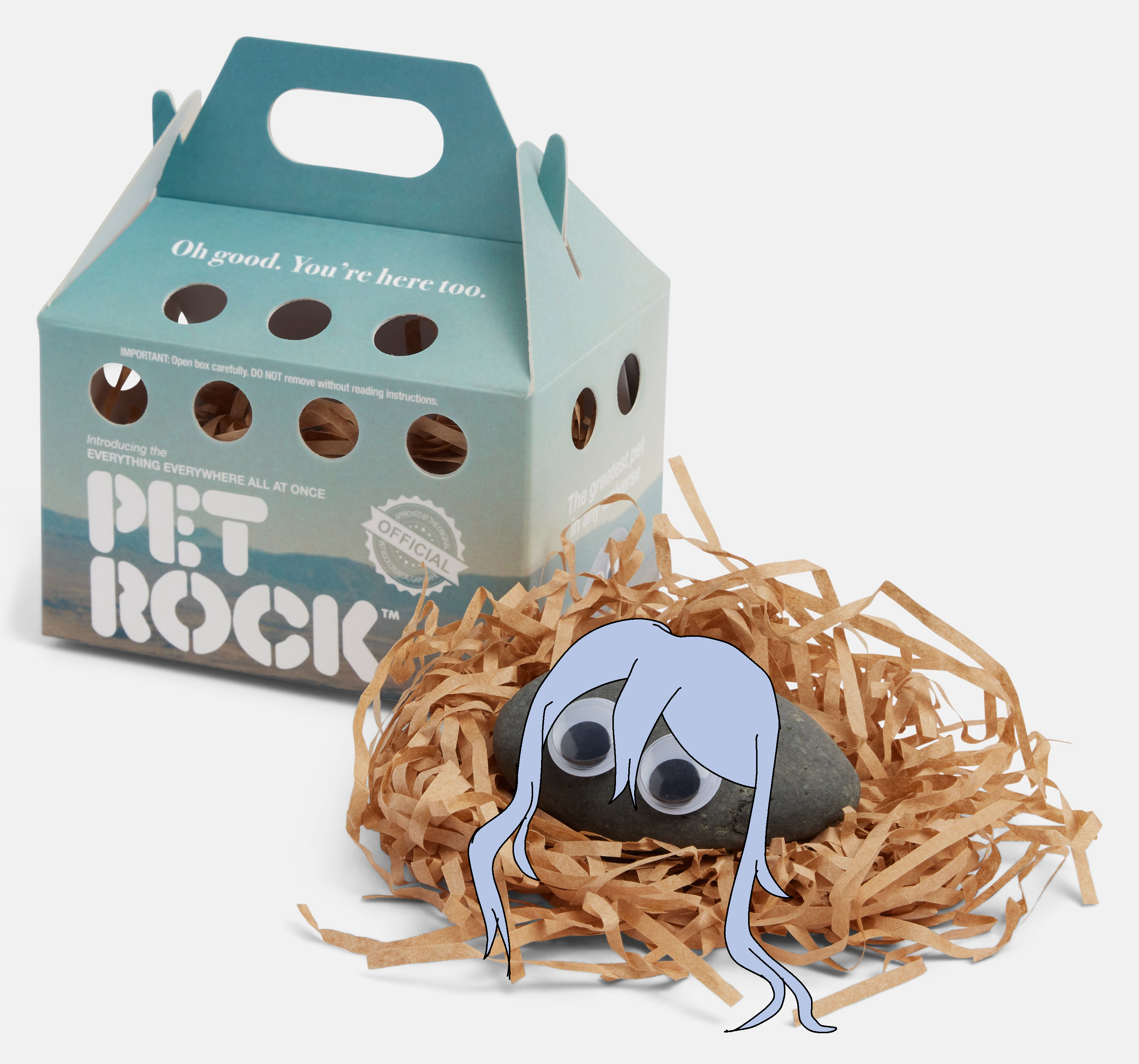 Pet rock iamge