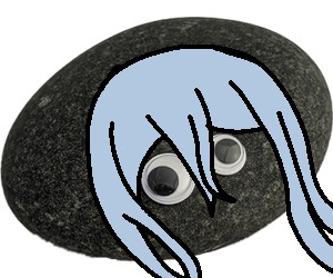 Pet rock iamge