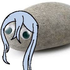 Pet rock iamge