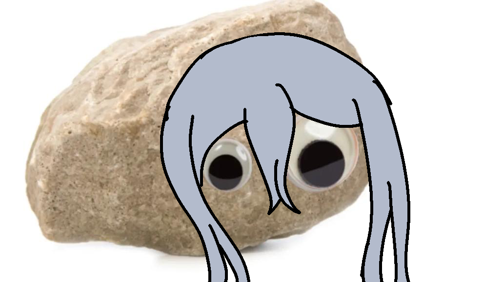 Pet rock iamge